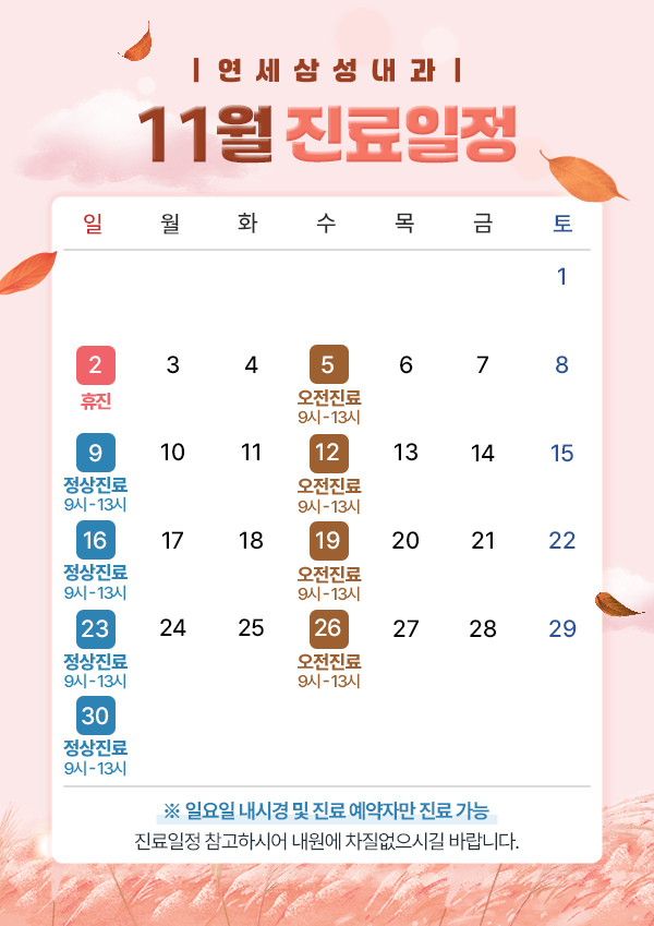 11월진료일정
